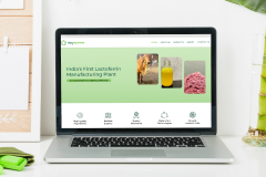 Website Development for Lactoferrin Manufacturing